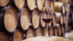 Dix conseils pour bien conserver son vin