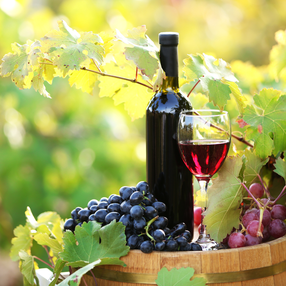 Vins rouges
